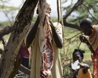 Mercato Samburu  prima di Lodugokwe sulla strada per Mararal Foto n. POA0243