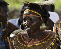 Festa in una scuola vicino il Lago baringo etnia Pokot Foto n. POA 0357