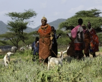 Donne etnia Samburu vicino Wamba Foto n. POA0223