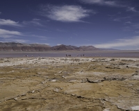 Foto N. IMG8821 Laguna Colorada