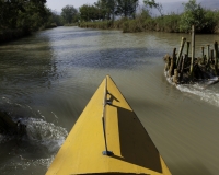 Sbarramento lungo il canale per il villaggio di Inthein Foto n. AOK8621