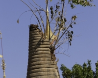 Le mille pagode di Inthein intorno alla Shwe Inn Dain Pagoda Foto n. AOK8652