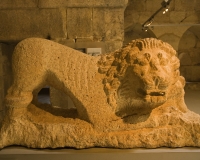 Sito archeologico di Baalbeck leone Foto n. 2990