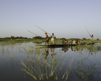 Pinassa in navigazione a Djenne / Foto n. 0366