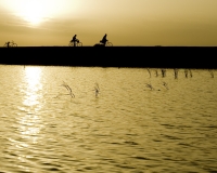 Biciclette al Tramonto a Djenne / Foto n. 0397