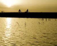 Biciclette al Tramonto a Djenne / Foto n. 0397