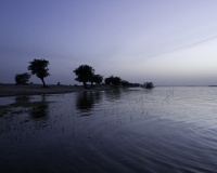 Villaggio lungo il Fiume Niger da Konna a Timbuctù / Foto n. 0137