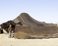 Tenda Berbera nel Deserto Foto n. 6445