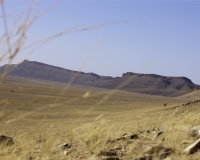 Deserto tra Marzouga e Zagorà Foto n. 6549