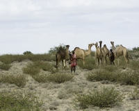 Matrimonio nel Villaggio Neputi  vicino il Lago Turkana Foto n. POA0884