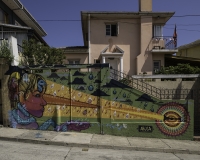 Murales a Valparaiso Foto N. IMG3911