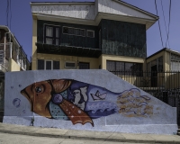 Murales a Valparaiso Foto N. IMG3914