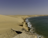 Deserto Wahiba Sands Foto N. POA7887
