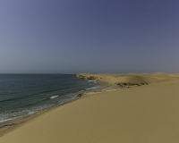 Deserto di Wahiba Sands Foto N. POA7888
