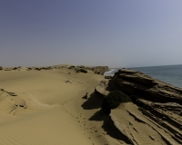 Deserto di Wahiba Sands Foto N. POA7893
