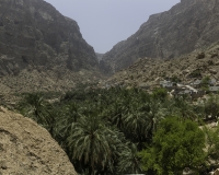 Wadi Tiwi Foto N. POA8047