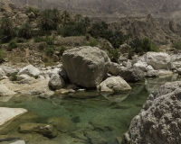 Wadi Tiwi Foto N. POA8052