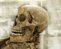 Mummia nel Museo di Ayacucho Foto n. AOK3511