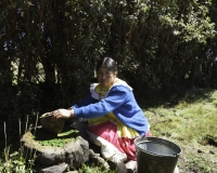 Ragazza lungo la strada per l’acquedotto Cumbe Mayo Foto n. AOK1336