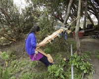 Ragazza al telaio lungo la strada per Celedin Foto n. AOK1431