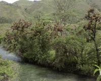 Panorama lungo la strada da Leymenbamba al sito di Revash attraverso la Vallata del fiume Utcubamba Foto n. AOK1510
