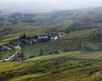 Langhe Foto n. 4263