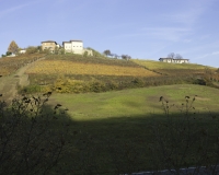 Paesaggio delle Langhe tra Monforte D\'Alba e Dogliani Foto n. 4350