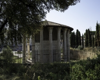 Tempio di Ercole o Vesta Roma Foto n. IMG0649
