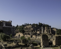 Foro Romano Roma Foto N. IMG0746