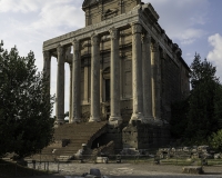 Tempio di Antonino e Faustina Foro Romano Foto N: 0934
