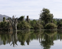 Sagar sito archeologico sulle sponde del Lago Inle Foto n. AOK8339