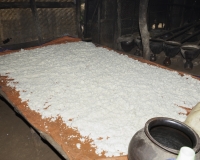 Essiccazione del riso cotto per la fabbricazione di alcool  lungo le rive del Lago Inle Foto n. AOK8398