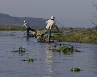 Vita Lungo il lago Inle Foto n. AOK8489