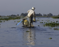 Vita Lungo il lago Inle Foto n. AOK8497