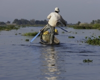 Vita Lungo il lago Inle Foto n. AOK8499