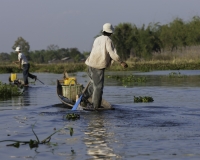 Vita Lungo il lago Inle Foto n. AOK8500