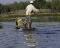 Vita Lungo il lago Inle Foto n. AOK8501