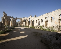 Sito archeologico di Qul’aat Sam’aan, San Simeon Foto n. 2308