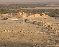 Veduta del Sito archeologico di Palmyra Foto n. 2780
