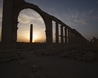 Il grande colonnato nel sito archeologico di Palmyra Foto n. 2834