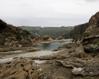 Laghetto sull\'Altopiano del Momi Socotra Foto n. 0712