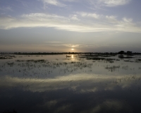 Tramonto a Djenne Mali Foto n. 2_0411