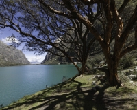 Lagune di Llanganuco nel parco Nazionale del Huascaran Foto n. AOK2361