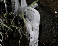 Fiori di ghiaccio nel Parco Nazionale Hascaran -Ghiacciaio Pasto Rouri Foto n. AOK2757