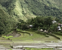 Antichi terrazzamenti di riso  nel villaggio di Batad Foto n. AOK6770