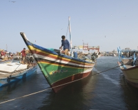 Barche di pescatori al porto di Al Hodeidah Yemen / Foto n. 0028