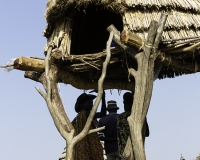 Villaggio Moluleo - Kapoeta- Sud Sudan Foto POA0957