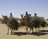 Persone lungo il Nilo nel Nord Sudan Foto n. 0302