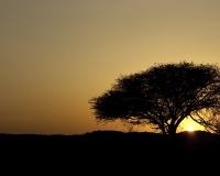 Tramonto lungo il Nilo nel Nord Sudan Foto n. 9951