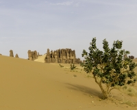 Pinnacoli rocciosi in direzione Oued Archei Foto n. POA0651
